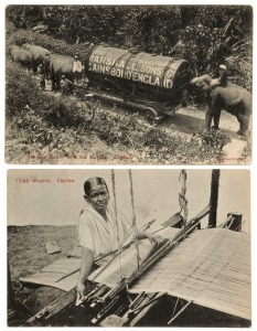 Postcards: BRITISH EMPIRE - CEYLON: A collection of photographic postcards featuring street views of Colombo and surrounding villages, elephants at work, tea industry activities, manicured gardens, traditional agricultural and religious practices, etc. (T