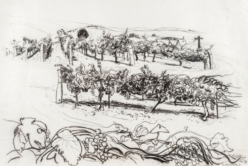 BRETT WHITELEY (1939 - 1992) Max Lake’s Vineyard, Hunter Valley, crayon, ink and watercolour on paper, signed, titled and dated ’76 at lower right, 50 x 76cm. Cat. 140.75 (Catalogue raisonné) Max Lake’s Vineyard 1975–76 Exhibited: Brett Whiteley:  Drawing