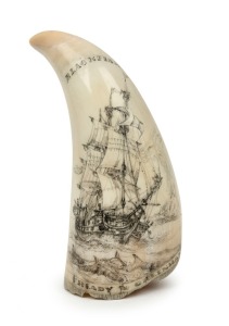 GARY TONKIN (Albany, Western Australia) scrimshaw whale's tooth titled "BLACKFISH, READY THE GREENHAND", signed "G.R. Tonkin", ​​​​​​​16cm high