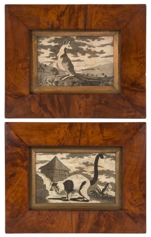 A pair of Colonial Australian musk picture frames, Tasmania origin, mid 19th century, with antique engraving by George Stubbs, Kangaroo (first known European image of a kangaroo) and the other of a Madagascan Lemur, the larger 21.5 x 27cm overall