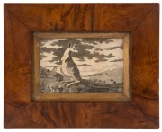 A pair of Colonial Australian musk picture frames, Tasmania origin, mid 19th century, with antique engraving by George Stubbs, Kangaroo (first known European image of a kangaroo) and the other of a Madagascan Lemur, the larger 21.5 x 27cm overall - 2