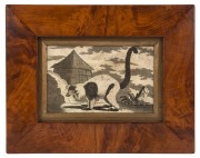 A pair of Colonial Australian musk picture frames, Tasmania origin, mid 19th century, with antique engraving by George Stubbs, Kangaroo (first known European image of a kangaroo) and the other of a Madagascan Lemur, the larger 21.5 x 27cm overall - 3