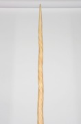 NARWHAL TUSK, an exceptional antique example mounted on a fine carved mahogany base, 19th century, 213cm high - 2