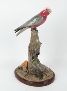 MICHAEL LEWIS "Galah With Thornbill" ceramic statue, limited edition 4/50, (A/F), signed and titled on the base, ​​​​​​​53cm high - 2