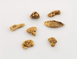 Gold nugget specimens, group of seven jewellery size pieces, 6.7 grams total