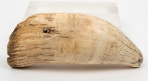An antique whale's tooth with remains of possible mounting, 19th century, an imposing 21cm high