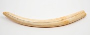 Walrus tusk carved in relief with serpent and figures, Alaskan origin, 42cm long - 2