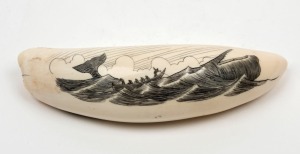 A scrimshaw whale's tooth depicting a whaling scene and tallship on reverse, 13.5cm long