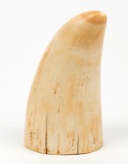 A scrimshaw whale's tooth with penguin carving in high relief, 11cm high - 2