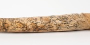 OOSIK (walrus penis) carved as a phallus and engraved with erotic scenes titled "Taming of the Shrew" and "Much Ado About Nothing", 41.5cm long - 6