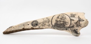 "CHARLES W. MORGAN" impressive scrimshaw carving on false killer whale jaw depicting nautical scenes of whaling, ship's portrait, map and bearing compass, ​​​​​​​53cm long