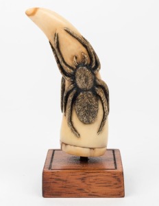 A whale's tooth carved with spider decoration in high relief, mounted on cedar stand, ​​​​​​​12cm high overall