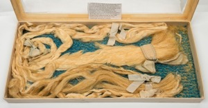 KAURI GUM SILK, unusual and rare kauri gum specimens spun into locks and used as blonde hair, early 20th century, housed in homemade display box, the box 44cm wide