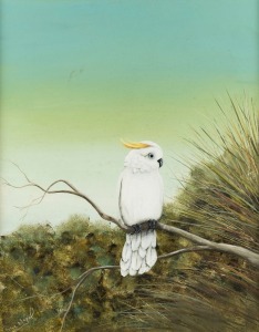 SUE NAGEL (b.1942), Young Cockatoo, oil on board, signed lower left, 50 x 40cm; framed 64 x 54cm.
