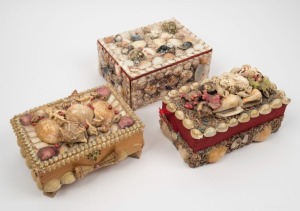 Three Australian folk art boxes adorned with shell and coral, 20th century, the largest 20cm wide