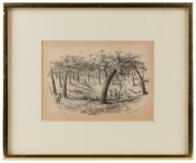 SAMUEL THOMAS GILL (1818-1880), collection of original plates from "Victorian Gold Diggings And Diggers As They Are - Part 2"; all individually framed (and mostly glazed). Titles include "Zealous Gold diggers Bendigo, July 1st/52", "Butchers Shamble nr Ad - 2