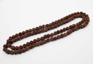 An impressive quandong seed necklace, 178cm long, the seeds approximately 1.8cm wide