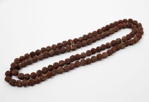 An impressive quandong seed necklace, 178cm long, the seeds approximately 1.8cm wide