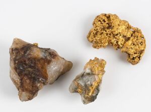 A gold nugget, Central Victoria, 10 grams; together with two gold specimens in matrix, 19 grams,