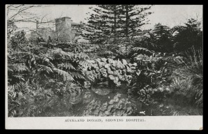 NEW ZEALAND: AUCKLAND EXHIBITION POSTAL CARD: HALFPENNY GREEN with VIEW IN BLACK: Samuel #AB3a(b) "AUCKLAND DOMAIN, SHOWING HOSPITAL", fine unused. This is a beautiful issue of Postal Cards. There were 20 different views in both values. Robert Samuel stat