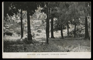 NEW ZEALAND: AUCKLAND EXHIBITION POSTAL CARD: HALFPENNY GREEN with VIEW IN BLACK: Samuel #AB3a(s) "SUNLIGHT AND SHADOW, AUCKLAND DOMAIN", fine unused.