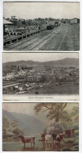 Postcards: VICTORIA - NORTHERN: A collection of photographic postcards featuring views of various main streets and public buildings, interiors and exteriors of social clubs and bars, the Echuca Sluicing Works, Swan Hill river traffic, Euroa Butter Factory, farming practices, railway stations, etc. (Total: 53; 25 unused; 28 used)