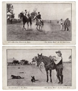 Postcards: NEW SOUTH WALES - CULTURAL, ADVERTISING & HISTORICAL: Postcards featuring advertising postcards, many cards from the Sydney Mail 'On the Land' series, American fleet visit, Cobar Boys' Band assembly, Rogers Bros Dye Works, Cobra Polish, The Lyceum, ostrich farms, horse races, sheep shearing, etc. Publishers/photographers include Kerry, Regal, W.Martin, North Coast S.N Co., Hollander & Govett, Blyth & Platt, Keys, etc. (Total: 34; 17 unused; 17 used)