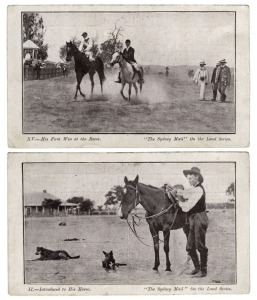 Postcards: NEW SOUTH WALES - CULTURAL, ADVERTISING & HISTORICAL: Postcards featuring advertising postcards, many cards from the Sydney Mail 'On the Land' series, American fleet visit, Cobar Boys' Band assembly, Rogers Bros Dye Works, Cobra Polish, The Lyc