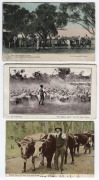 Postcards: NEW SOUTH WALES - CULTURAL, ADVERTISING & HISTORICAL: Postcards featuring advertising postcards, many cards from the Sydney Mail 'On the Land' series, American fleet visit, Cobar Boys' Band assembly, Rogers Bros Dye Works, Cobra Polish, The Lyc - 3