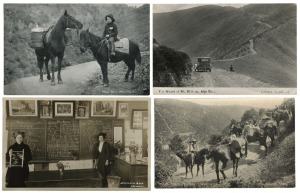 Postcards: VICTORIA - GIPPSLAND & THE MOUNTAINS: Photographic postcards including Walhalla blanketed by snow, the local milk delivery boy on horseback, Buchan Fairy Cave, Omeo Golden Age Hotel, Mount Hotham slopes, Benambra School, American Fleet, railway bridges, encampments, lakes, bushland, etc. Photographers/publishers include Lee Bros., H.T.Cooper, Bulmer, J.Cullinan, W.Kracke, V.S.M., Norman Bros., Rose, etc. (Total: 59; 40 unused; 19 used)