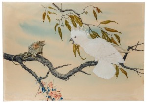 ROBIN HILL (1932 - ), Major Mitchell and Frilled Lizard, watercolour, signed and titled lower centre "Robin Hill, '65,&nbsp;Major Mitchell and Frilled Lizard", ​​​​​​​53 x 75cm