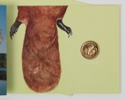 TWO HUNDRED DOLLARS, 1990 $200 gold "The Pride of Australia - Platypus", uncirculated; in original pack. - 2