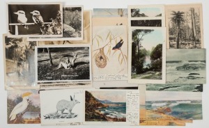 Postcards: AUSTRALIA: A collection of postcards featuring photographs and illustrations by Mowbray, Rose, Valentine, A.A.A., Crown Studios, Cantle, Cayley, E.C.A. Holmes, Lister Lister, Kerry, Lindt, etc. (Total: 27; 19 unused; 8 used)
