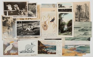 Postcards: AUSTRALIA: A collection of postcards featuring photographs and illustrations by Mowbray, Rose, Valentine, A.A.A., Crown Studios, Cantle, Cayley, E.C.A. Holmes, Lister Lister, Kerry, Lindt, etc. (Total: 27; 19 unused; 8 used)