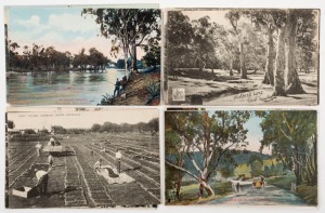 Postcards: SOUTH AUSTRALIA: A collection of semi-official postcards, all different, each issued by an institution such as South Australian Railways, Commonwealth Railways, and the State Tourist Bureau and Intelligence Office. Featuring views of agricultural scenes, country roads, bridges, mountains, etc. (Total: 16; 12 unused; 4 used)