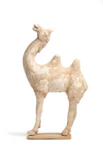 A Chinese pottery model of a bactrian camel, the head raised, Tang Dynasty 618-907, 43cm high