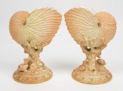 ROYAL WORCESTER pair of nautilus shell vases, 19th century, puce factory mark to the bases, ​​​​​​​21cm high - 2