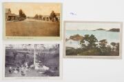 Postcards: QUEENSLAND: A collection of semi-official cards, all different, each issued the Intelligence and Tourist Bureau or for various Expositions. Featuring views of agricultural practices, public buildings and infrastructure, street scenes and planta - 9