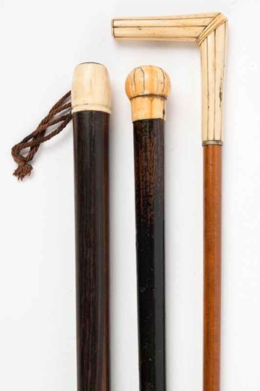 Three antique walking sticks with ivory handles, 19th century, the largest 89cm high