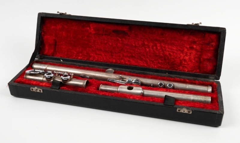 RAZNO flute in case