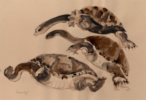 ELIZABETH CUMMINGS (1939 - ), (untitled, three turtles), watercolour, signed lower left "Cummings", 38 x 55cm, 60 x 76cm overall