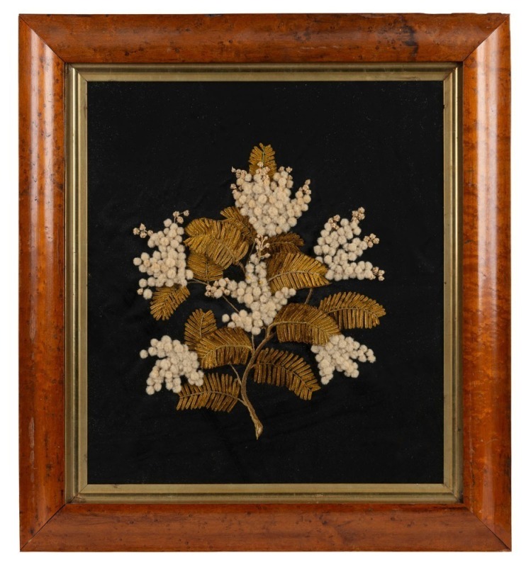 AUSTRALIANA "Wattle" antique silk and wool needlework display, housed in an antique maple frame, 19th century, 58 x 52cm overall