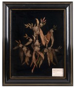 AMELIA BURROWS (1860-1927) "Gum Flowers & Gum Leaves", silk thread embroidery and cotton crochet on black velvet ground, housed in an ebonized and gilt box frame, Tasmanian origin, circa 1900, ​​​​​​​59 x 50cm overall