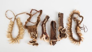 Two dog's teeth headdresses and four assorted arm bands, tooth, fibre, kina shell and pigment, Papua New Guinea origin, (6 items), the 50cm long