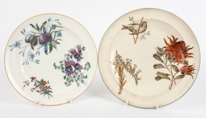 WEDGWOOD "Australian Flora" two antique porcelain plates, circa 1880, 25.5cm diameter