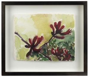 NICHOLAS HARDING (1956-2022), Kangaroo Paws (4), 2011, watercolour, Exhibition label verso with title, 24 x 31cm, 38 x 44cm overall