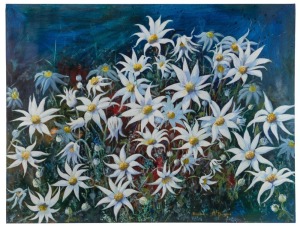 BARBARA McBURNIE, Flannel Flowers, ​​​​​​​acrylic on linen, signed lower right "Barbara McBurnie", 92 x 122cm