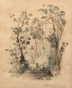 JOHN SKINNER PROUT(1805 - 1876), Illawarra, hand coloured lithograph, titled in the lower margin, 21 x 17cm, 42 x 37cm overall