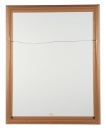 GEELONG: Team of the Century souvenir guernsey, signed by #15,&nbsp;Peter Riccardi. Framed and glazed, overall 101 x 79cm. - 3