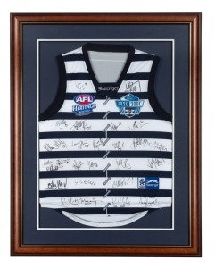 GEELONG: 2005 Heritage Round team jump with AFL and Ford logos, signed by the full team and officials. Framed and glazed, overall 98 x 76cm.